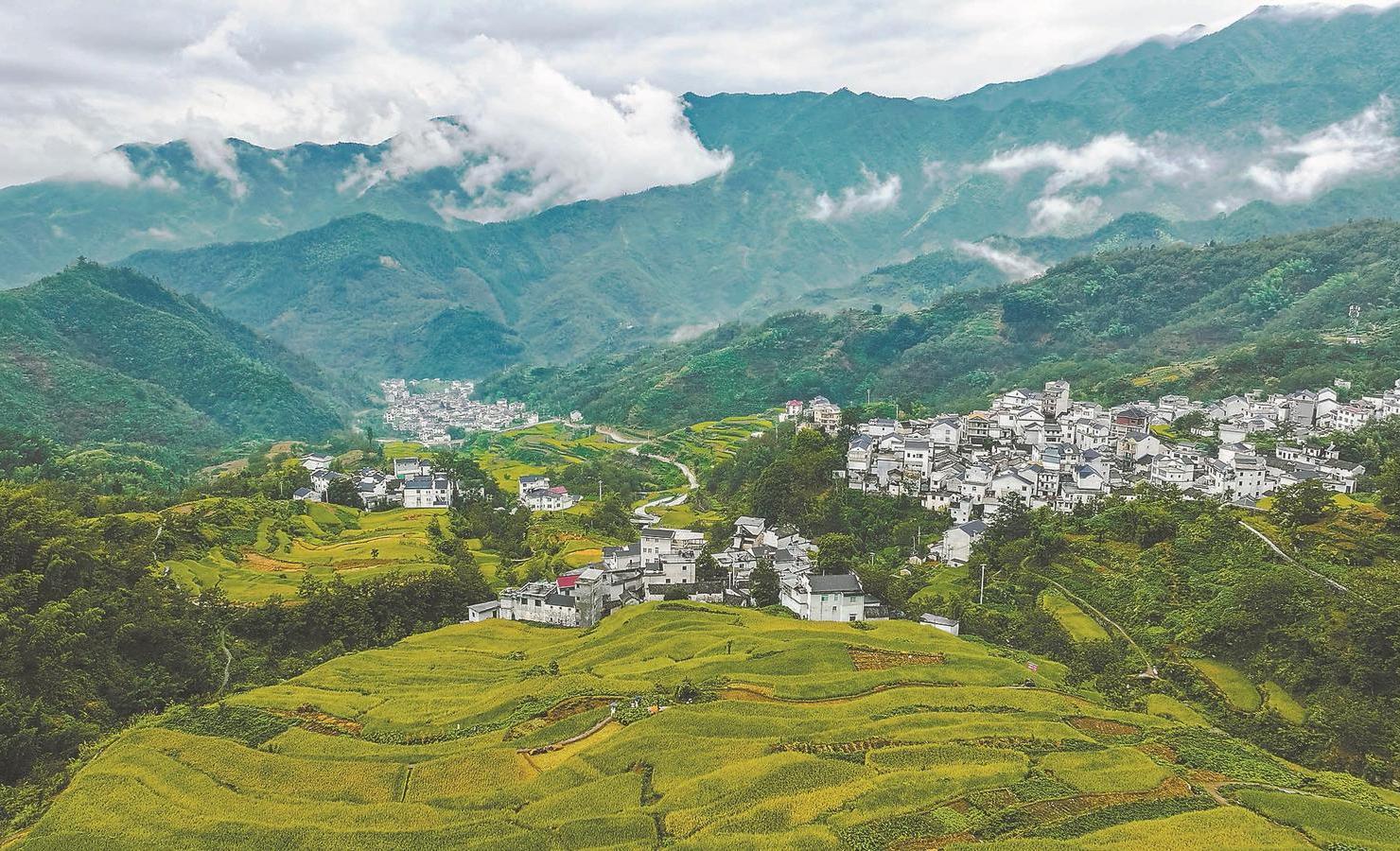 安徽盛会，致敬领导与嘉宾，共襄盛举