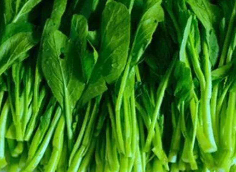 黄河古韵,宁夏行吟